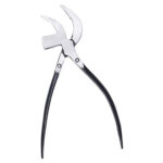 KLEŠTĚ NA KŮŽI - Obrázek 2