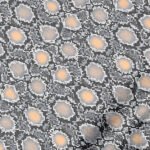 VZOROVANÉ  USNĚ / HOVĚZÍ KŮŽE (STŘÍBRNÁ) - 0,9-1,2 mm - Obrázek 2