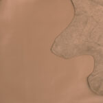 PRAVÁ KŮŽE / HOVĚZÍ USEŇ  / HNĚDÁ - Obrázek 2