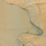 PRAVÁ KŮŽE / HOVĚZÍ USEŇ (HNĚDÁ) od 12 Kč  za 1 dm² - Obrázek 2