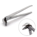 KLEŠTĚ NA KŮŽI - Obrázek 2