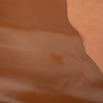 HOVĚZÍ USEŇ / TŘÍSLOČINĚNÁ HLAZENICE – SVĚTLE HNĚDÁ - Obrázek 2