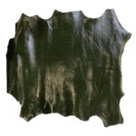 PRAVÁ KŮŽE JEHNĚTINA - TMAVĚ ZELENÁ - LAKOVANÁ - Obrázek 2