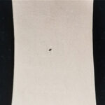 DĚROVACÍ DLÁTO - 4 mm - Obrázek 3