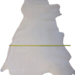 HOVĚZÍ USEŇ - TŘÍSLOČINĚNÁ HLAZENICE - PŘÍRODNÍ - 1,2 - 1,5 mm - Obrázek 7