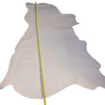 HOVĚZÍ USEŇ - TŘÍSLOČINĚNÁ HLAZENICE - PŘÍRODNÍ - 1,2 - 1,5 mm - Obrázek 9