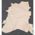 PRAVÁ KOZÍ KŮŽE - MLÉKО - 1,1-1,3mm - Obrázek 3