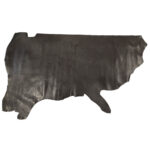 HOVĚZÍ USEŇ - TŘÍSLOČINĚNÁ HLAZENICE -Hnědá - Obrázek 2