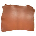 HOVĚZÍ USEŇ - TŘÍSLOČINĚNÁ HLAZENICE – HNĚDÁ - Obrázek 3